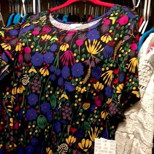 Various LuLaRoe NEW Carly dresses.